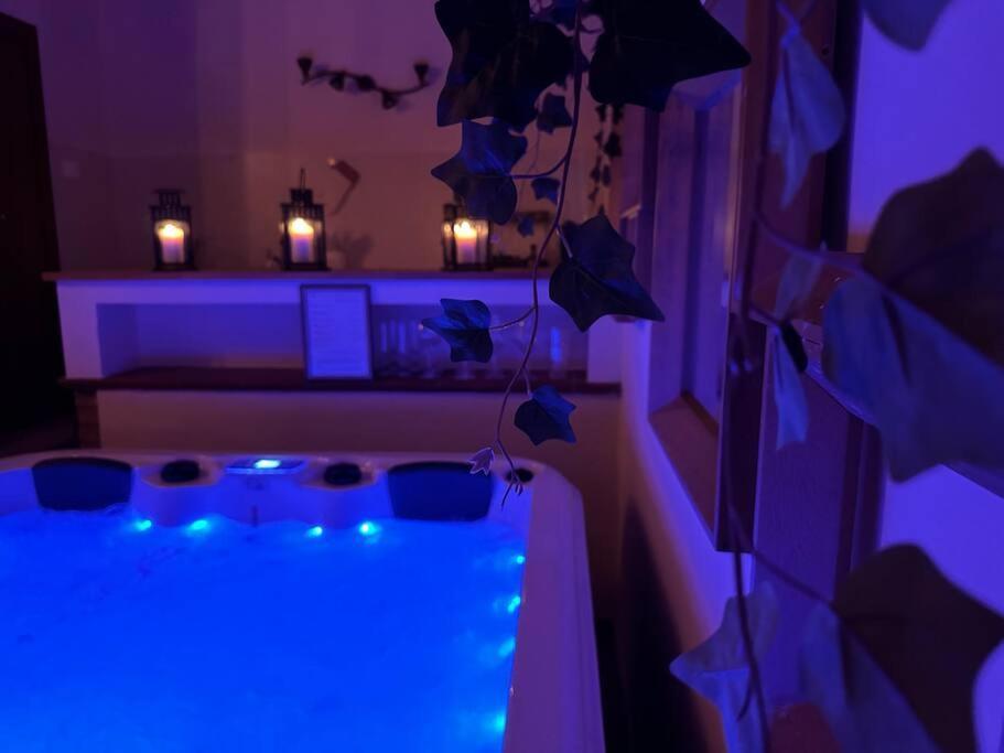Relax Nella Jacuzzi In Toscana 埃尔萨谷口村 外观 照片